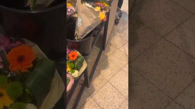 Как у вас отмечается 8 марта?Если вы живёте в Германии, смотреть онлайн