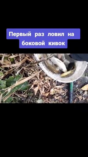 Первый раз ловил на боковой кивок #shorts #fishing смотреть онлайн