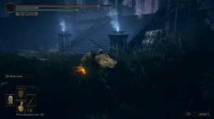 ФИНАЛЬНЫЙ БОСС И КОНЦОВКА ДОПОЛНЕНИЯ ELDEN RING - SHADOW OF THE ERDTREE