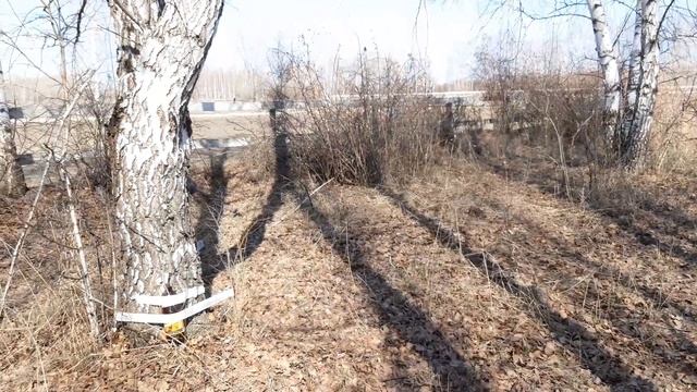 Всё Моё Родное