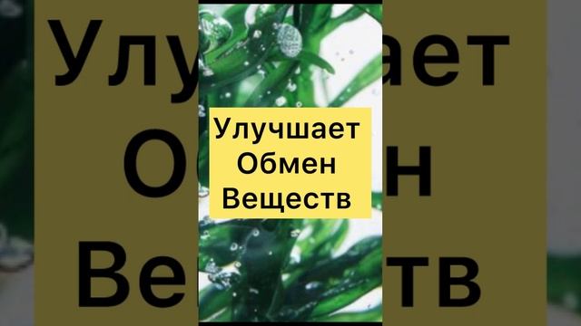 ЕШЬ И ХУДЕЙ! Какие ПРОДУКТЫ СНИЖАЮТ ВЕС?