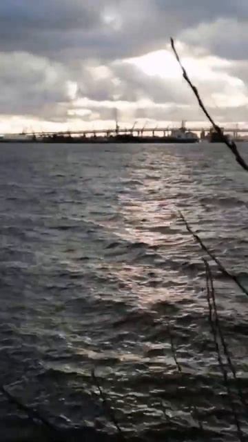 Санкт-Петербург. Общественное пространство "Порт Севк смотреть онлайн