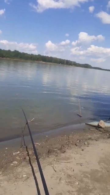 отдых на берегу реки "Обь" смотреть онлайн