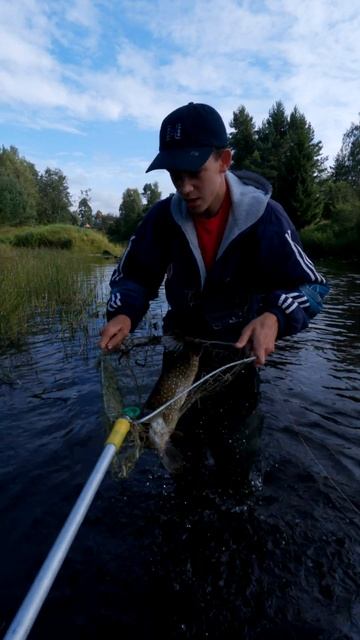 Торпеда! #shorts #рыбалка #fishing #щука #pike смотреть онлайн
