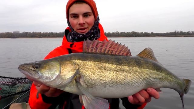 ТАКОГО КЛЁВА СУДАКА ВЫ НЕ ВИДЕЛИ! Трофейные КОНИ на ка? смотреть онлайн