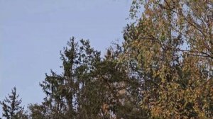 Пробная рыбалка с эхолотом практик 8