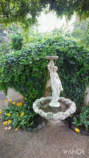 $18 ВХОД #тюльпаны #весна #садоводничество #сад #цветы#п? смотреть онлайн