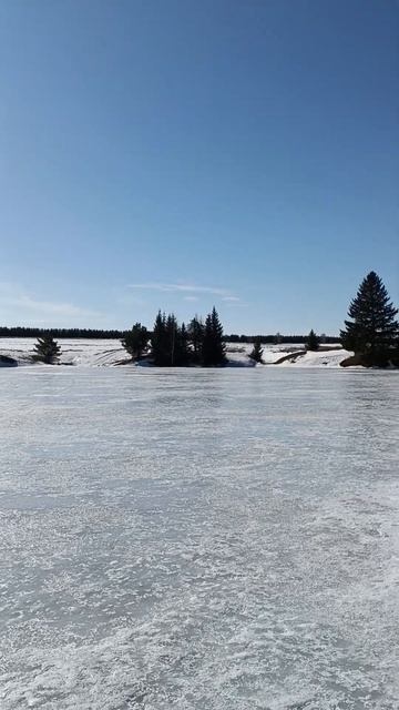22 марта 2025 г.Лёд на пруду