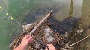 Ловля Карпа на Макушатник🔥Карась На Макуху🔥Как Пой?