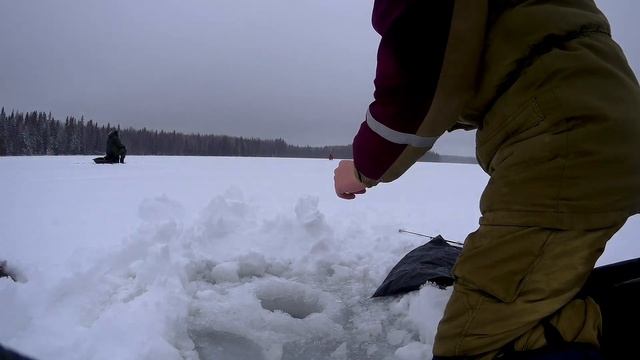 ПОЕХАЛИ НА РЫБАЛКУ ЗИМОЙ В ЛИВЕНЬ! ЛАМБУШКА УДИВЛЯЕТ! 
