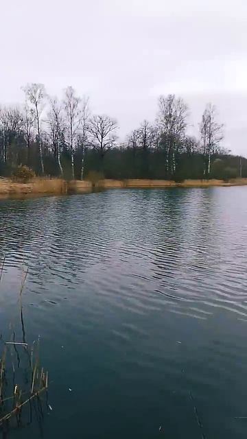рыбалка на спиннинг #рыбалка #рыбалканаозере #fishing смотреть онлайн