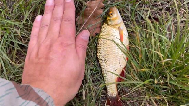 Правдинское водохранилище (НеРыбалка) смотреть онлайн