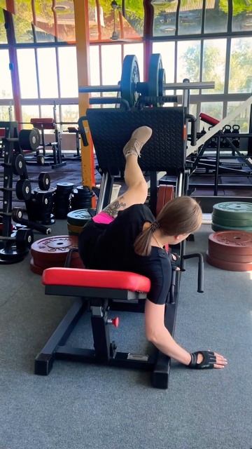 Диагональный жим ногами смотреть онлайн