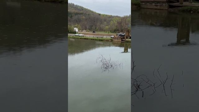 Пришёл к нам park ranger проверил наши лансесы на рыбалку #fo смотреть онлайн