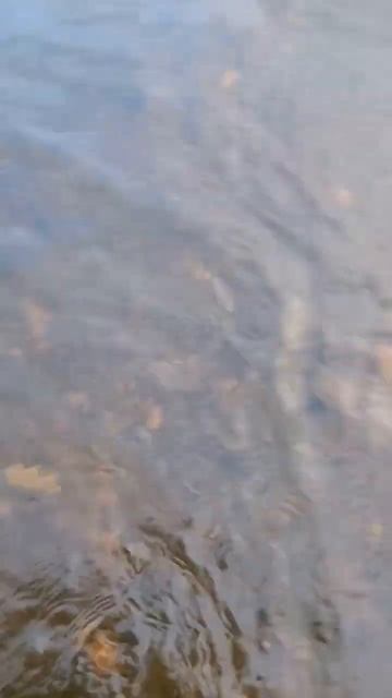 #ленок #рыбалка #мухи #хариус #забайкалье #поймалотпуст смотреть онлайн