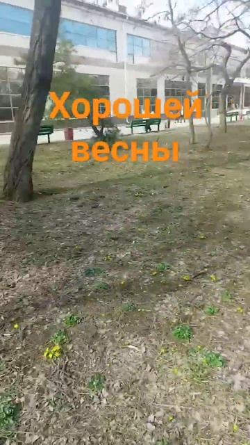 посмотрите какие цветы посмотрите у себя есть такие р? смотреть онлайн