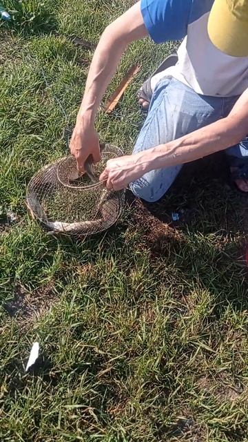 #рыба #рыбалка #отдых на #озере #Красноярск 13-14.07.24