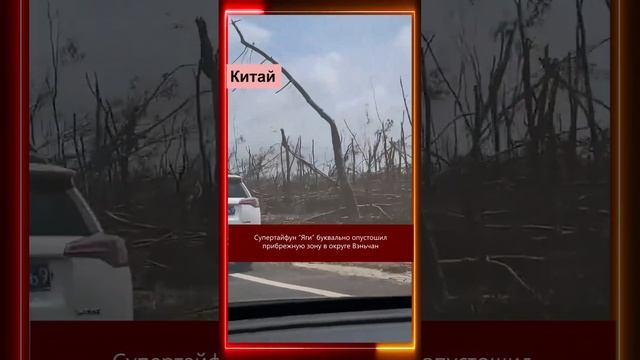 11 сентября 2024 Климат в мире смотреть онлайн