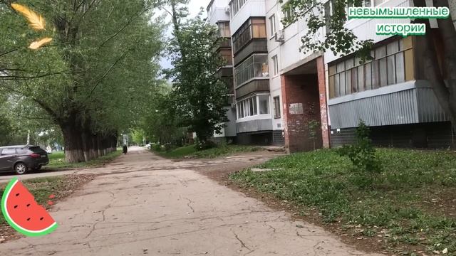 Веселые попутчицы смотреть онлайн