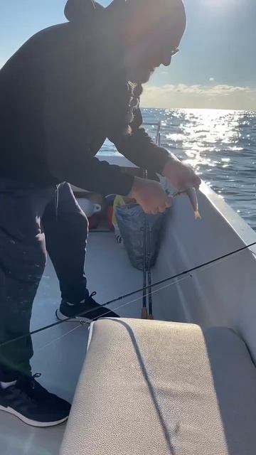 Морской дракон. Рыбалка в Сочи. #рыболовныйгид #fishing #fish смотреть онлайн