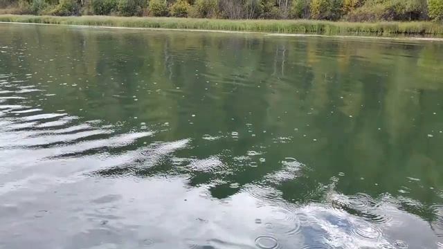 Качуг, рыбалка на Лене (сентябрь 2024) смотреть онлайн