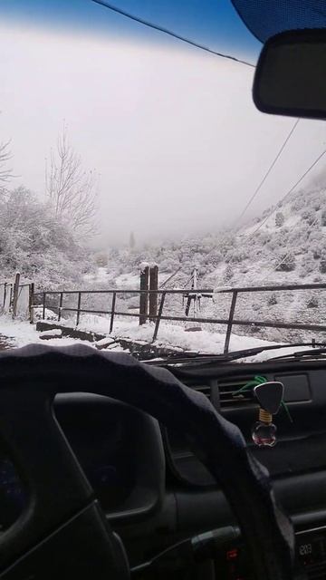 отправляем это видео у кого есть машина tico#shorts #тико #г? смотреть онлайн