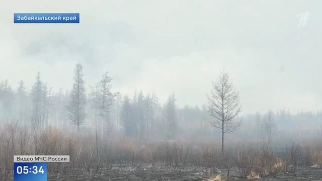 Первый канал # Новости, Москва, 13 мая 2025
Теперь о ситуации с пожарами в Забайкалье смотреть онлайн