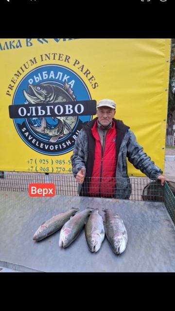 Форель. Ольгово. Как я провел осень. смотреть онлайн
