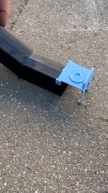 Поймали мышь. Уже четвертую за последнее время. #мышел?