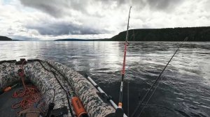 Ангара 2024. Ловля Хариуса в сентябре командой Sibnymph.