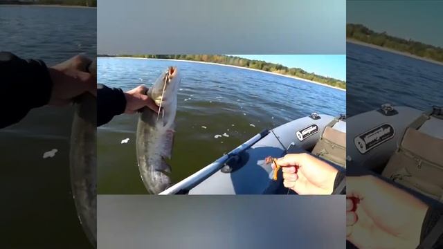 Сома ловлю на квок в ванной.😁😁😁 смотреть онлайн