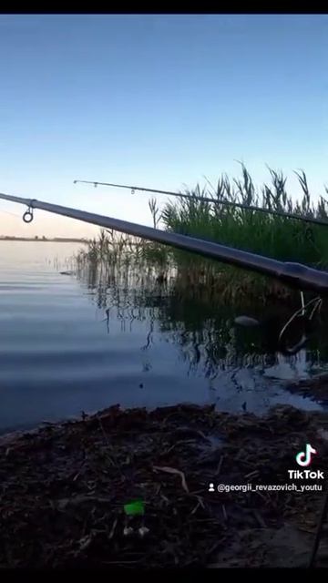 ТРИ УДОЧКИ ТРИ ПОКЛЁВКИ ОДНОВРЕМЕННО,НЕ УСПЕВАЮ!!! смотреть онлайн