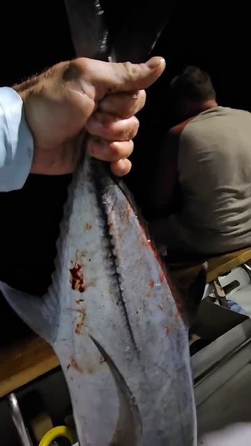 100 метров глубина!# fishing #deepjigging#maldives#worldfishing#deepocean#рыбалк смотреть онлайн