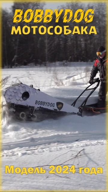 Мотособака Бобби Догидеальный выбор для любителей зи? смотреть онлайн