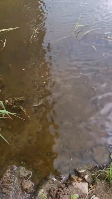 Шнур #рыбалка #fishing