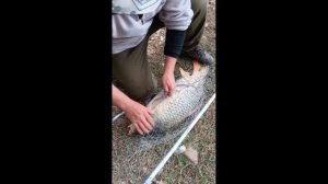 Рыбалка  в Горячем Ключе 👈😀