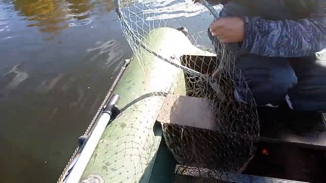 на рыбалку с электро удочкой