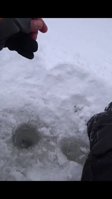 Рыбалка на нимфа-шарик. смотреть онлайн