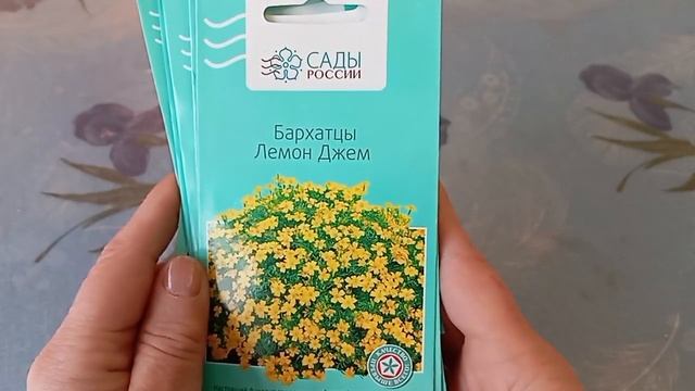 Семена цветов от НПО САДЫ РОССИИ🌺 на 2025г смотреть онлайн