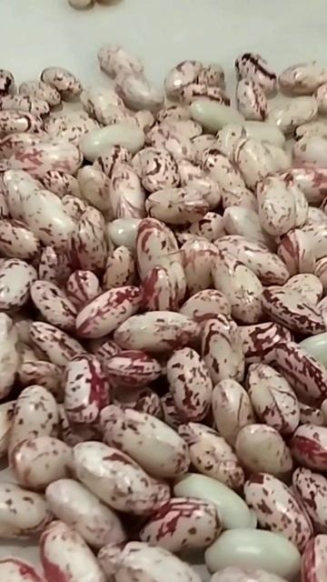 Собрали фасоль смотреть онлайн