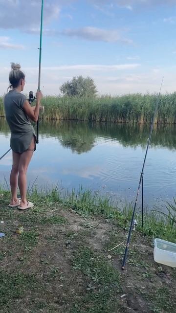 Мечта рыбака.. сохраняй трек в плейлист #рыбалка #shorts #м смотреть онлайн