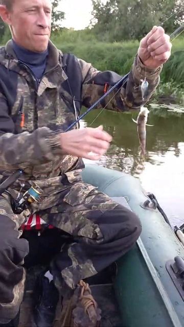 Окунь на воблер clatch sr ,класика. смотреть онлайн