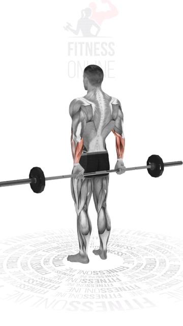 Сгибания запястий за спиной со штангой/Bending the wrists behind t смотреть онлайн