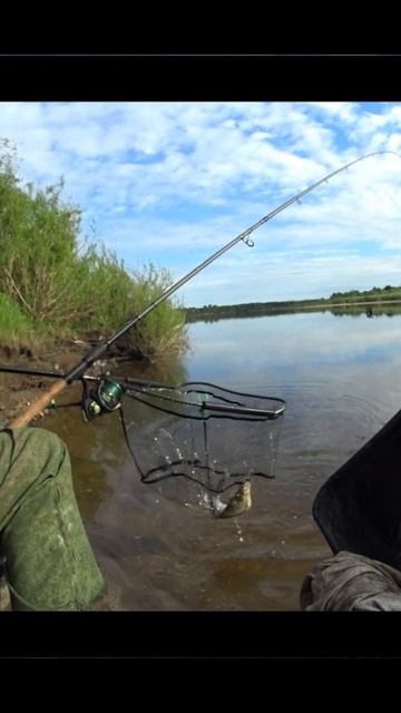 Паркую леща. Рыбалка на фидер. FISHING смотреть онлайн