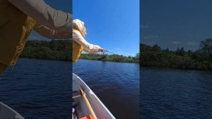 Рыбалка стоя в Лодке Афалина-360 и Вова - Властелин кату?