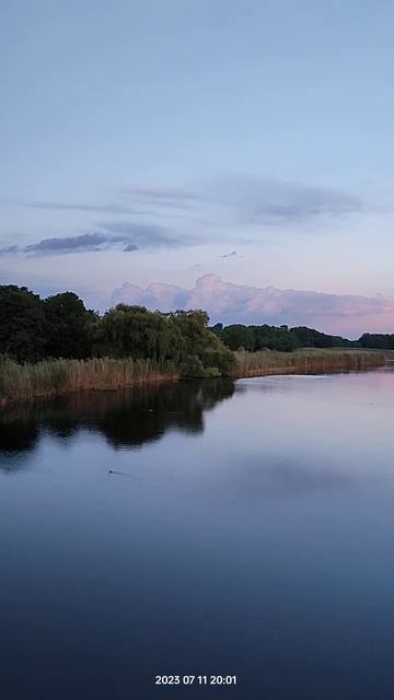 Наш любимый край #краснодарскийкрай #динская #кочеты