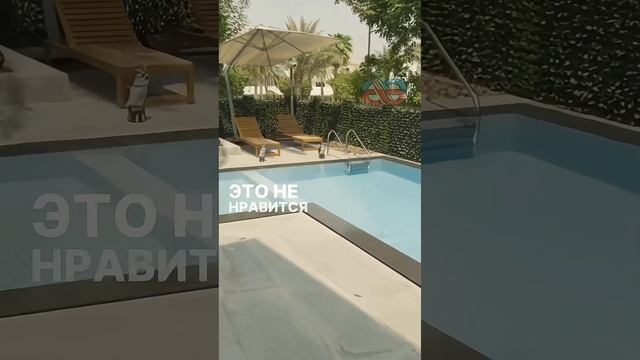 Почему Папичу нужен личный бассейн? #Папич #ЛичныйБасс смотреть онлайн