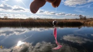 Рыбалка на реке Битюг. Спиннинг.