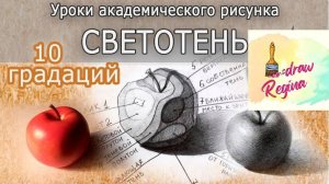 Светотень. Как рисовать объем. Академический рисунок.