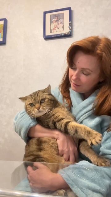 Скажи « мяу» смотреть онлайн